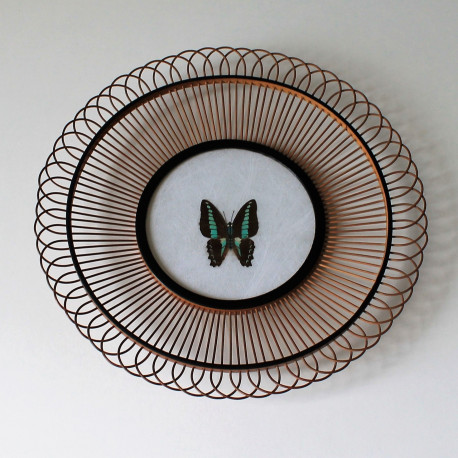 bambou & papillon